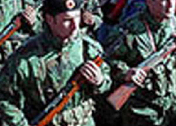 ローエルゴ導入の軍隊